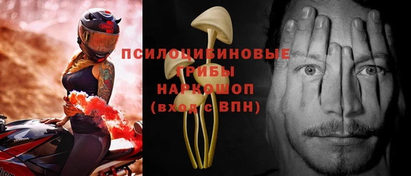 мдпв Козловка